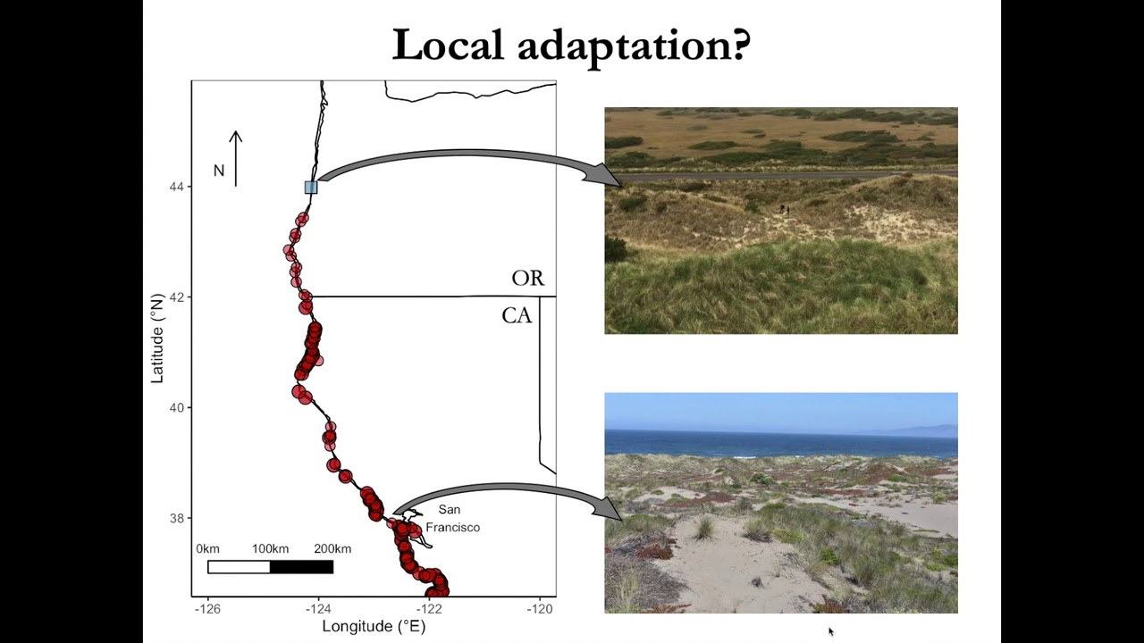 Is local adaptation associated with long-term persistence beyond the range? | Regan Cross