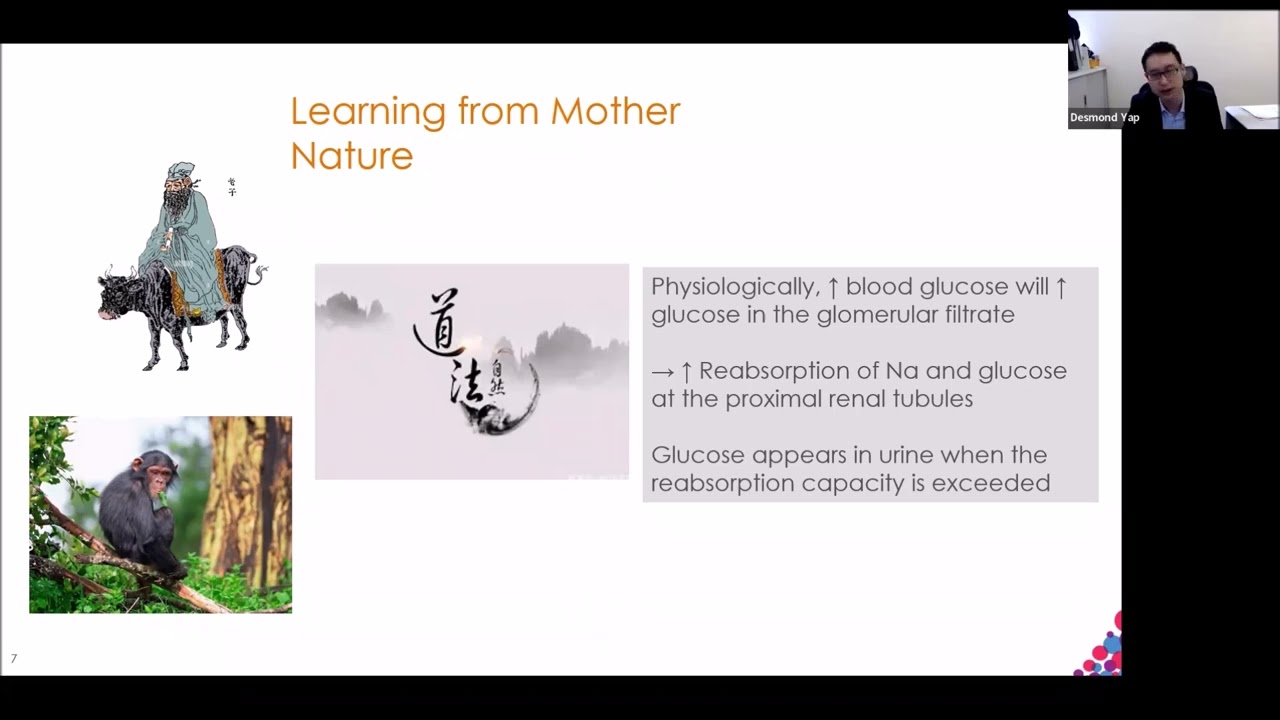 Review of SLGT2i in the management of chronic kidney disease