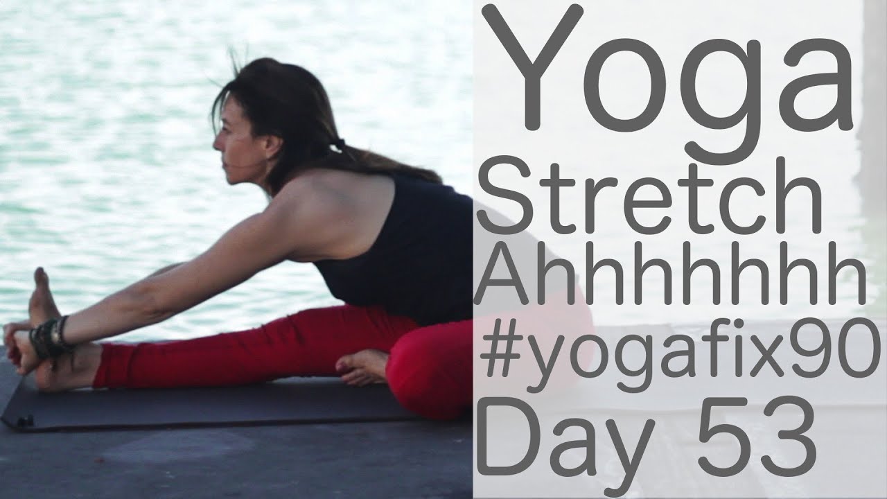 30 minute Full Body Yoga Stretch (stretching Workout) Day 53 Yoga Fix 90 | Fightmaster Yoga Videos
