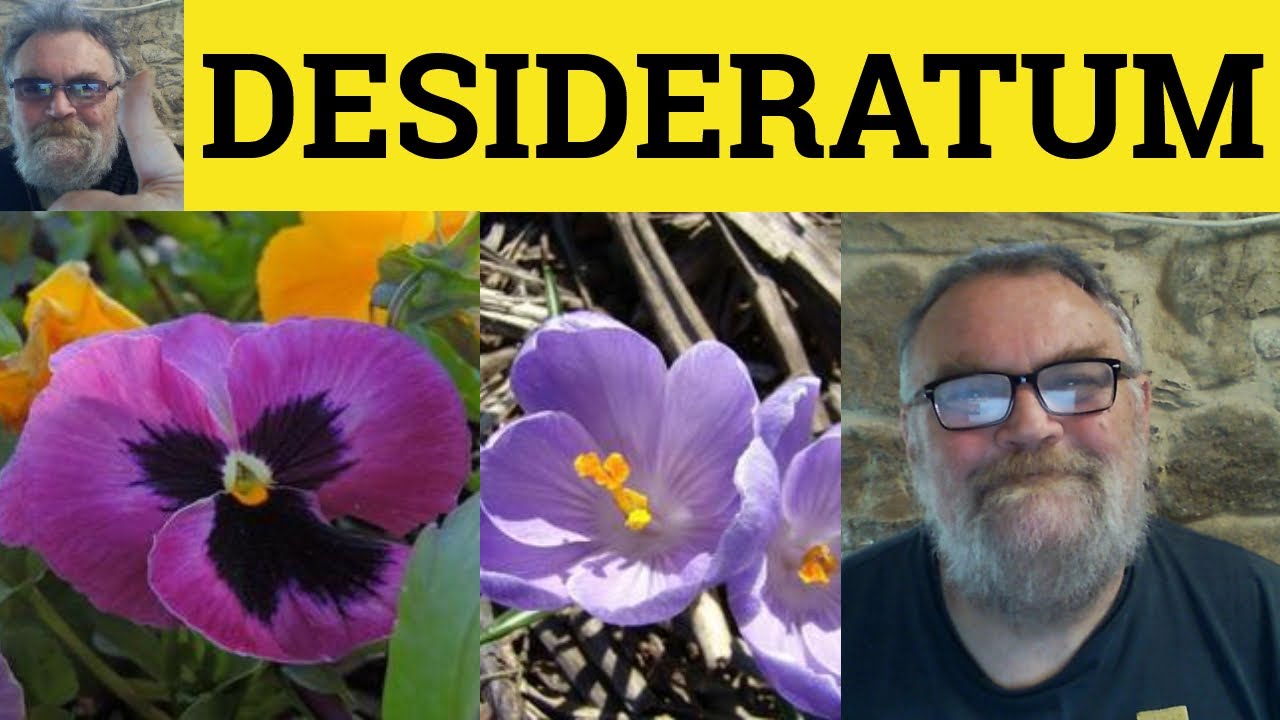 🔵 Desideratum Meaning - Desiderata Defined - Desideratum Examples - Formal Vocabulary Desideratum