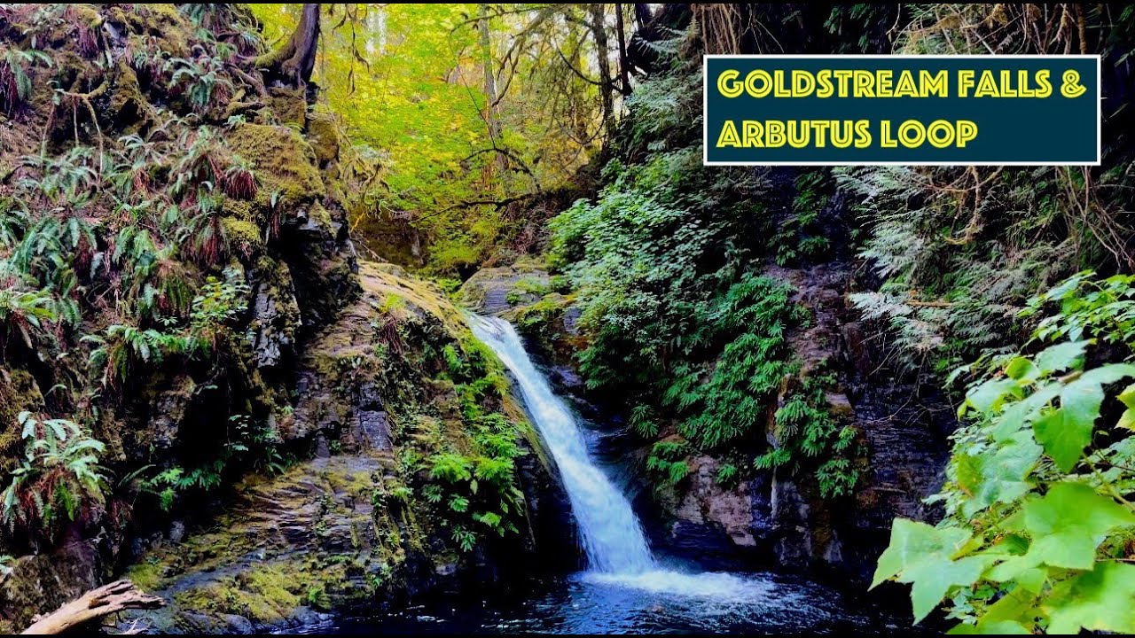 Hike to Goldstream Falls | Victoria BC