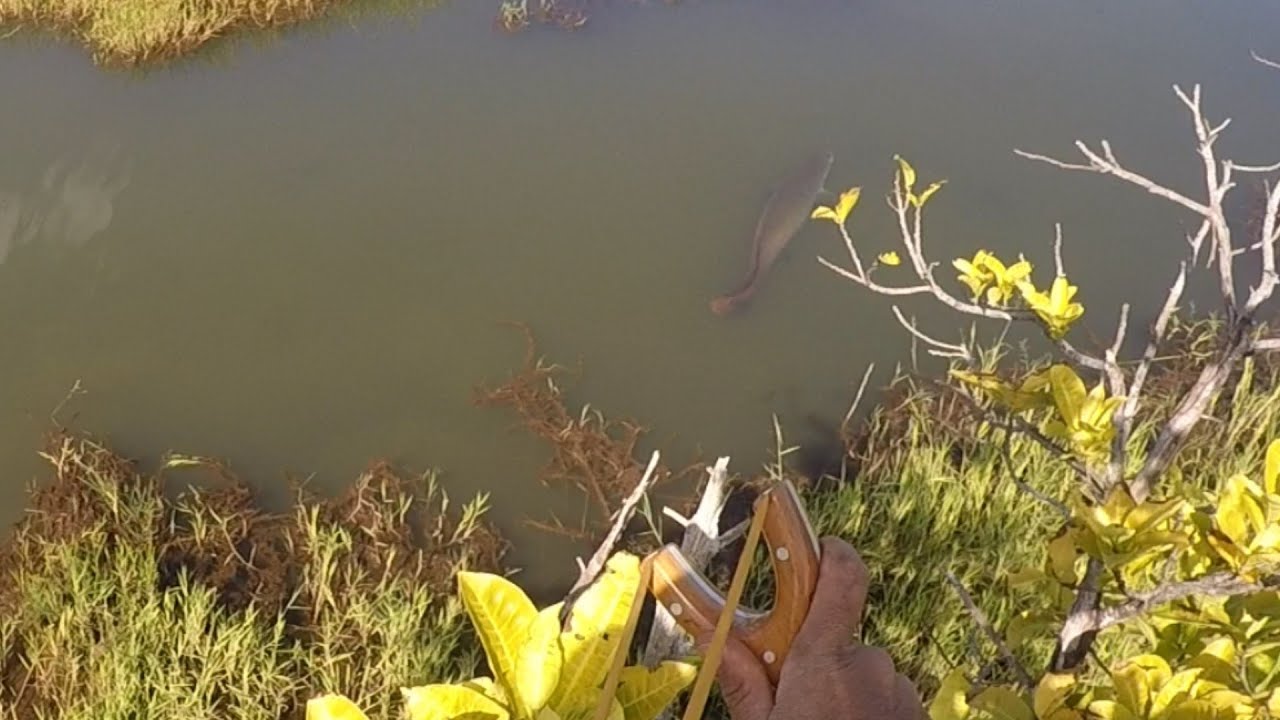 #pesca com estilingue no lago dos GIGANTES.