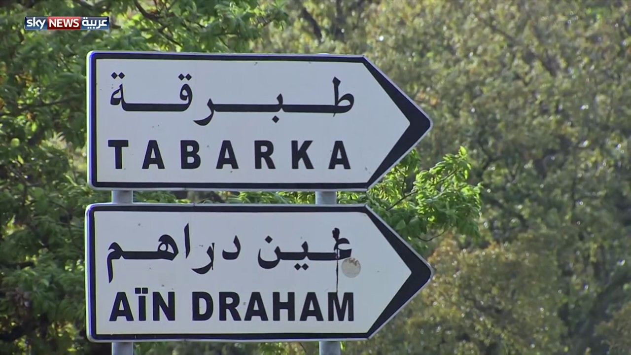 جندوبة التونسية.. مهد للون الأخضر
