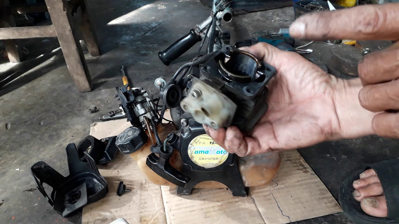 Hướng dẫn bảo trì máy cắt cỏ, bệnh đội đầu picton | Instructions for maintaining lawn mowers
