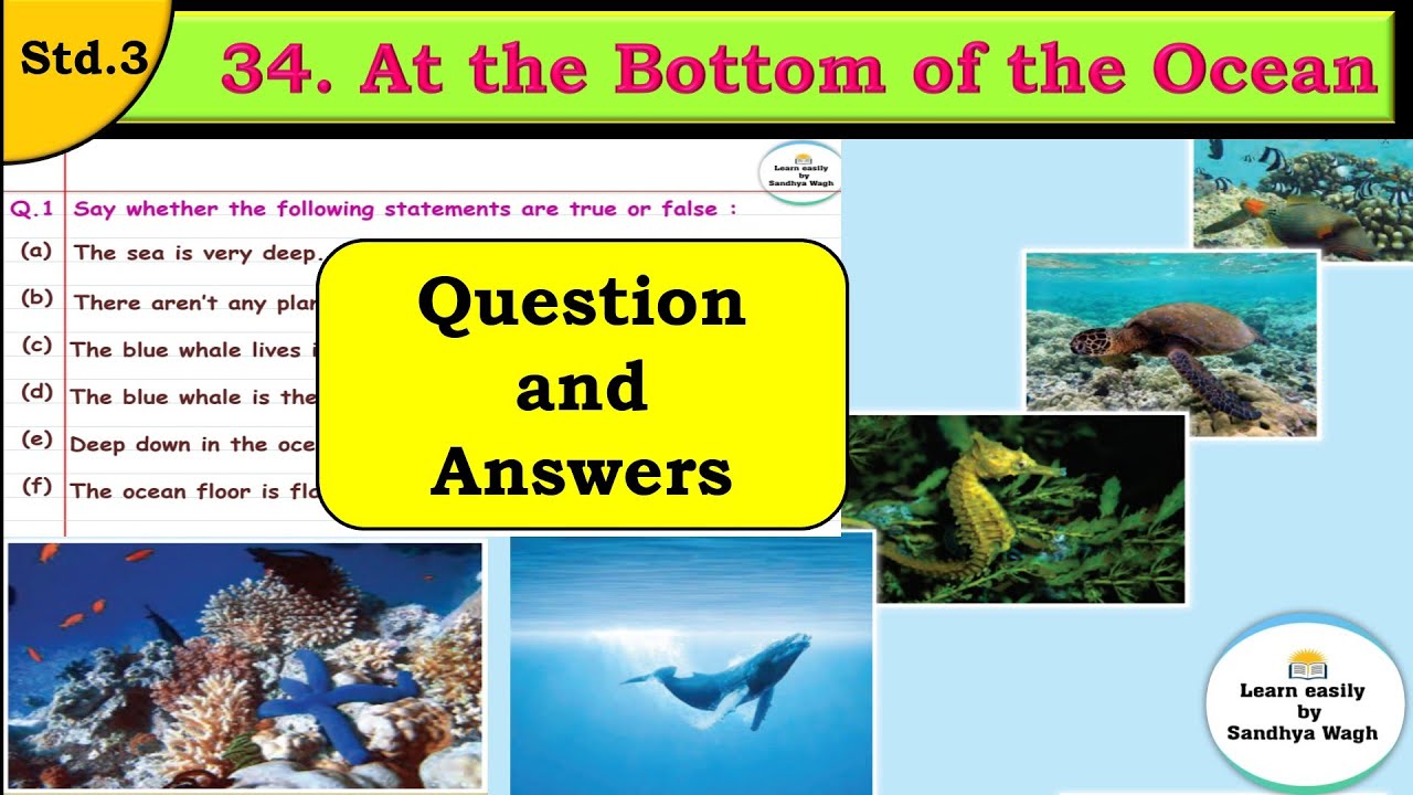 34. At the Bottom of the Ocean | Question Answers | std 3 | English Balbharati | Easy explanation