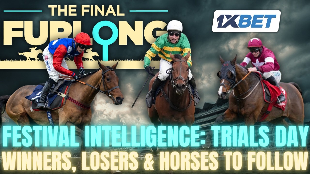 Cheltenham Fallout: Festival Angles after wins for The New Lion, Spillane’s Tower & Ma Shantou