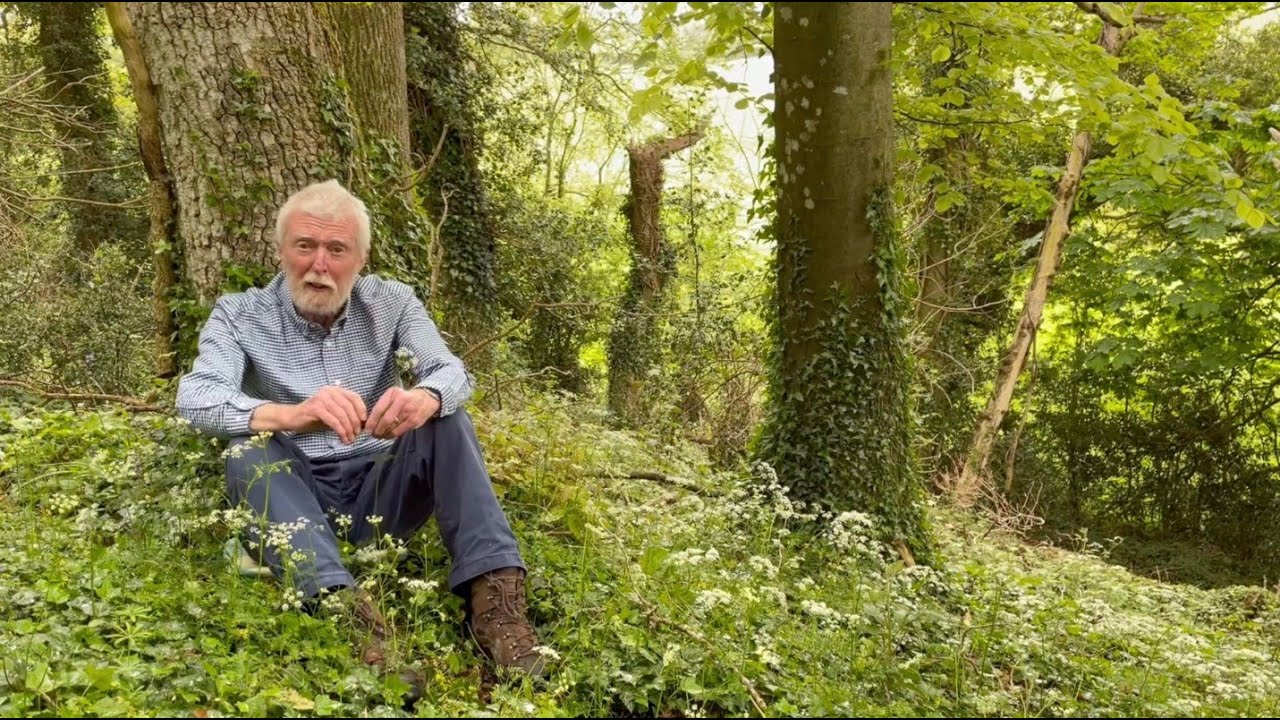 Cowparsley and Pignut with John Feehan in May, Wildflowers of Offaly series