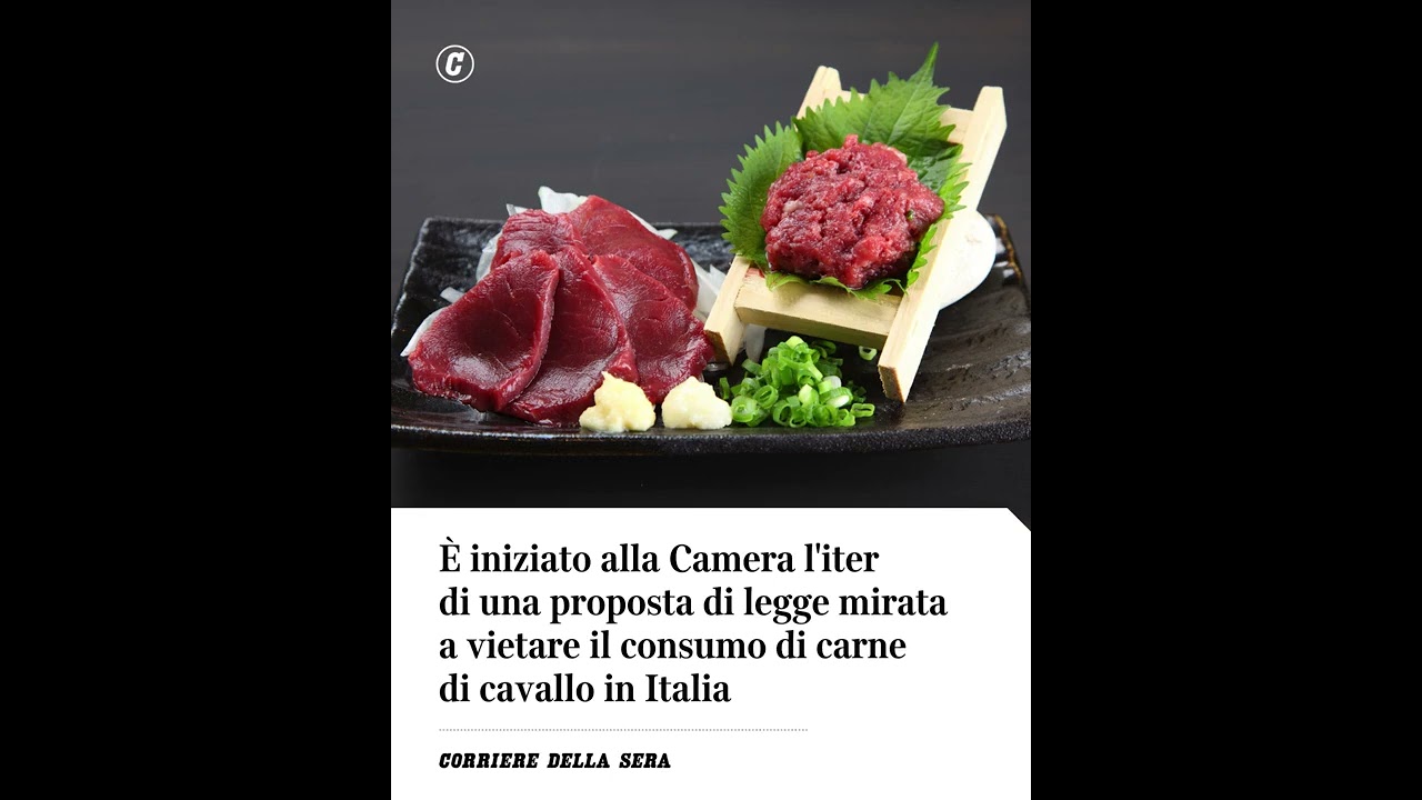 Iniziato alla Camera l’iter della proposta di legge per vietare consumo di carne di cavallo