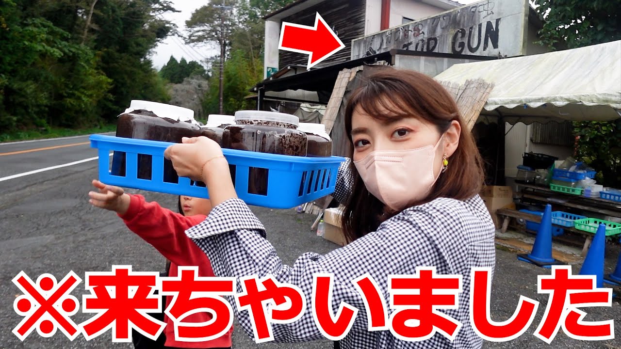 【ギラファノコギリ④】渋滞３時間半！TOPGUNで世界最長クワガタの掘り出し！親超えなるか！？／ギラファノコギリクワガタ