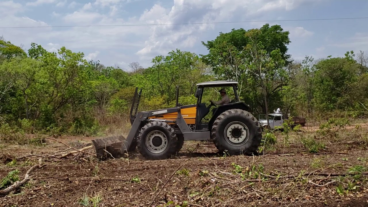 Roque Tratores: BH 160 enleirando cerrado com garfo de 3 metros