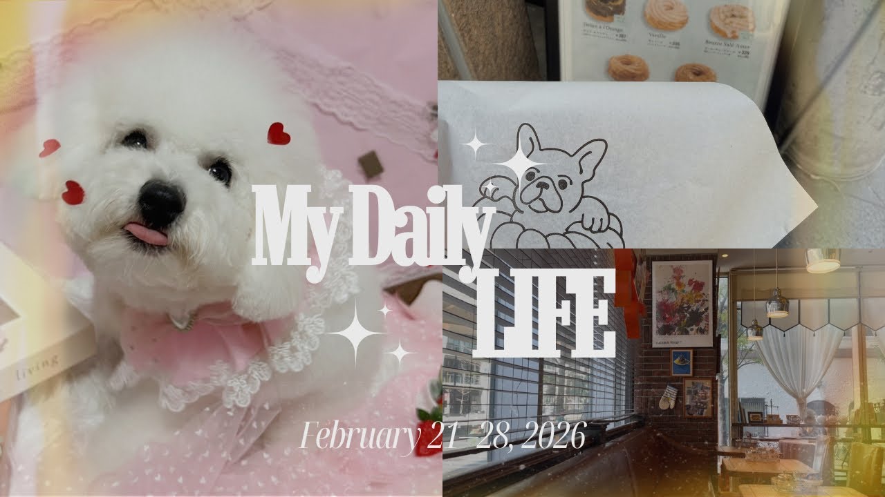 【VLOG】都会で暮らす専業主婦の日常/ビションフリーゼのトリミング🐻‍❄️(City Housewife Diaries )