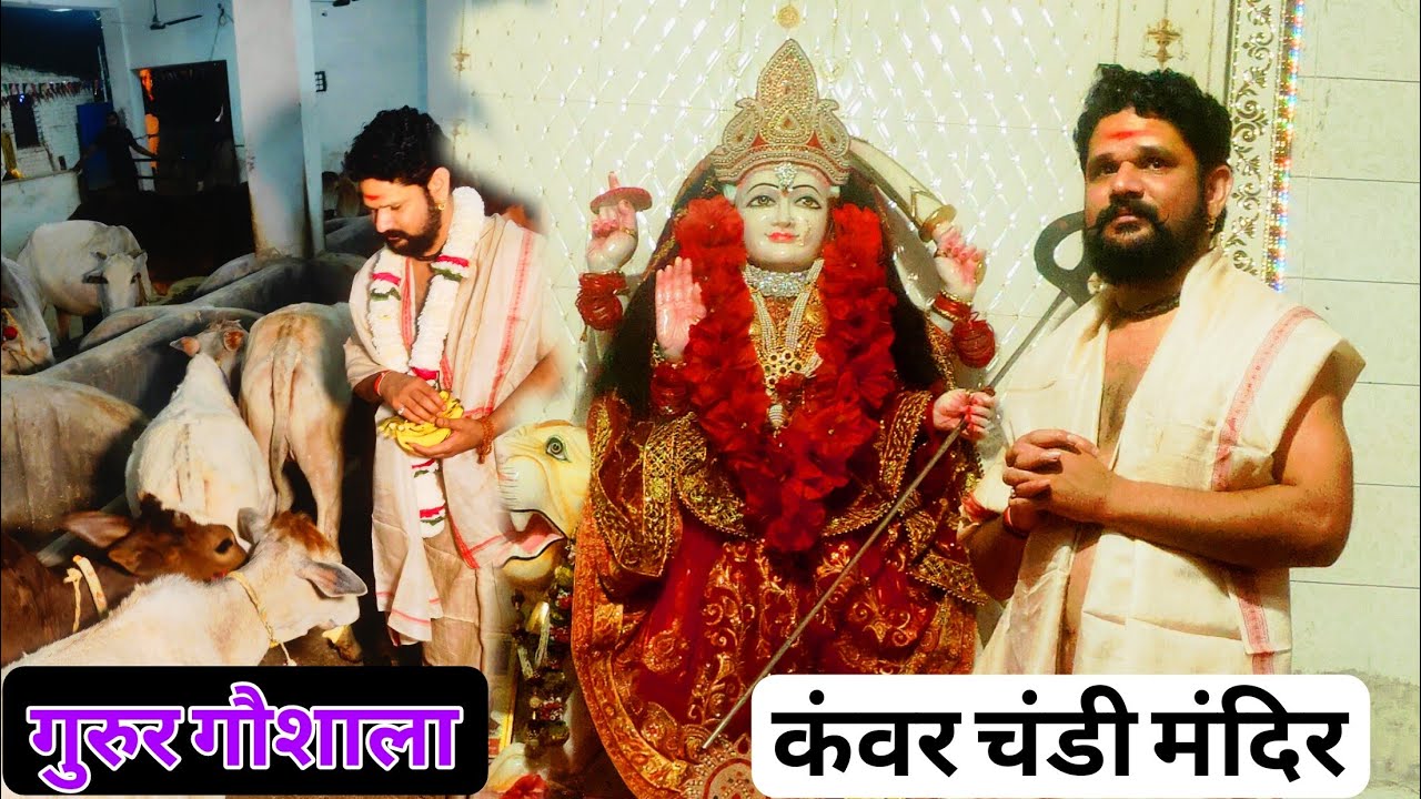 कंवर चंडी मंदिर// गुरुर गौशाला// पंडित युवराज पांडे जी 🚩 