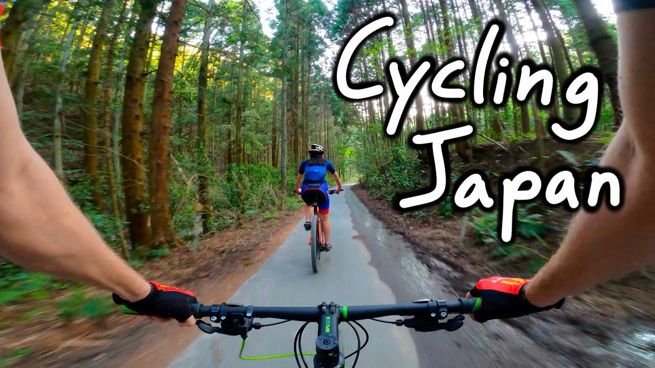 Bike Ride Down Japanese Mountain (Gravel Cycling) Toyota 広見林道