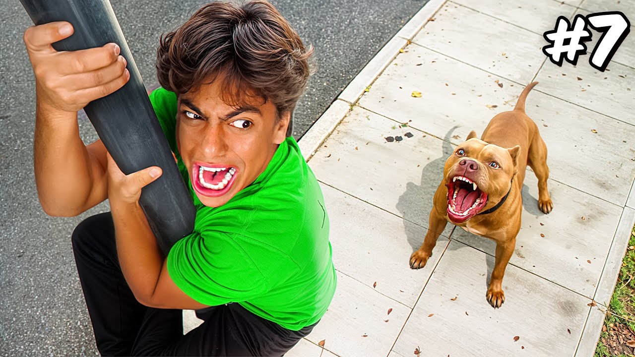 10 MANEIRAS DE FUGIR DE UM CACHORRO!