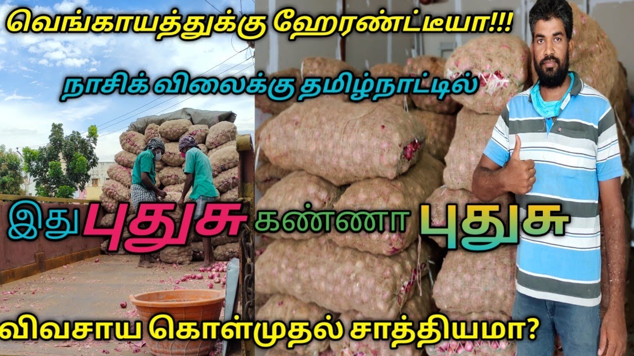 நாசிக் வெங்காயம் நேரடி கொள்முதல்/nashik onion direct purchase/onion wholesale/imran's business info/