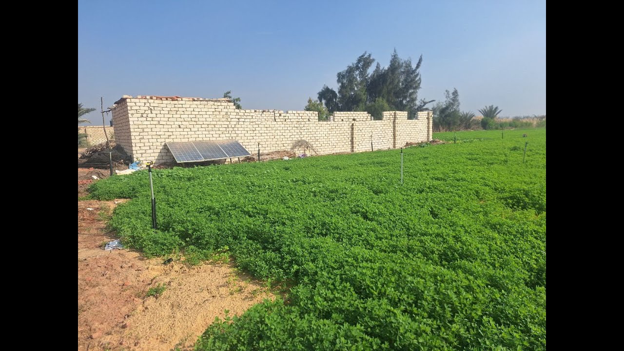 مزرعة 4 فدان و نص في وادي النطرون