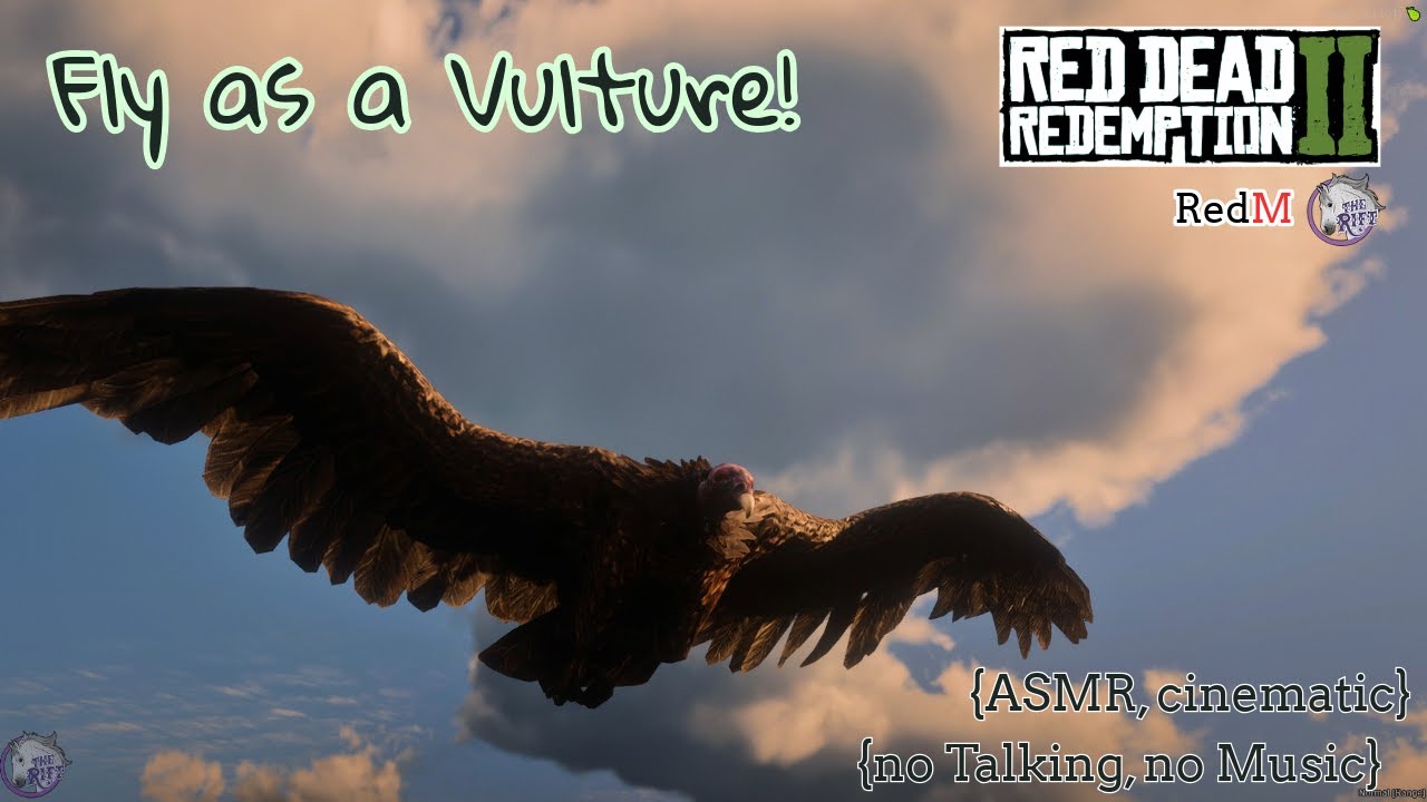 {EP 4} Through the Eyes | Vultures Flight!