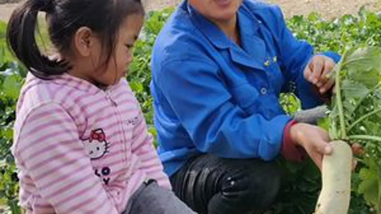 今天闺女回来剥萝卜丝，粉条包子吃，被这两个闺女笑坏了 #农村生活