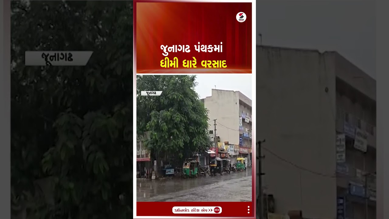 Junagadh | જુનાગઢ પંથકમાં ધીમી ધારે વરસાદ | Gujarat Rain | Rainfall | Monsoon | Gujarat