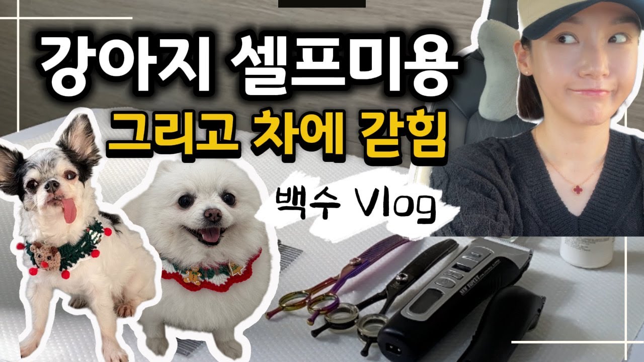 손재주는 있는 백수 | feat. 지옥의 필리핀 연말