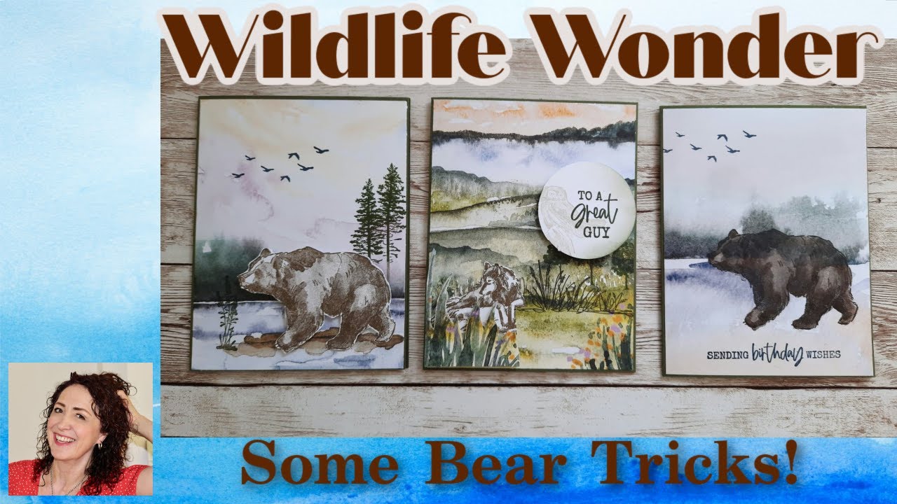 Cheer Corner:  Wildlife Wonder