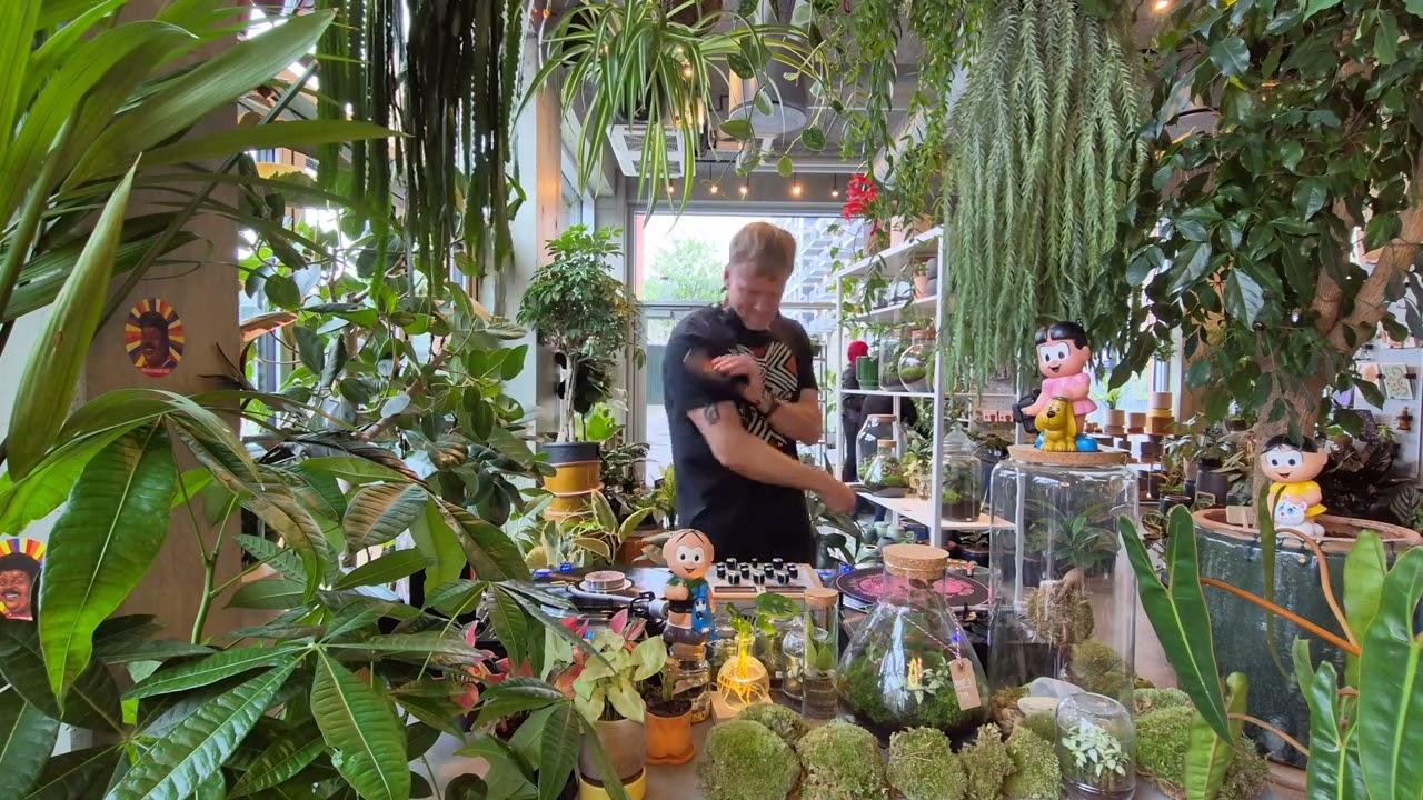 Brazilian vinyl DJ set • From samba to boogie • Plant Shop Grooves 02