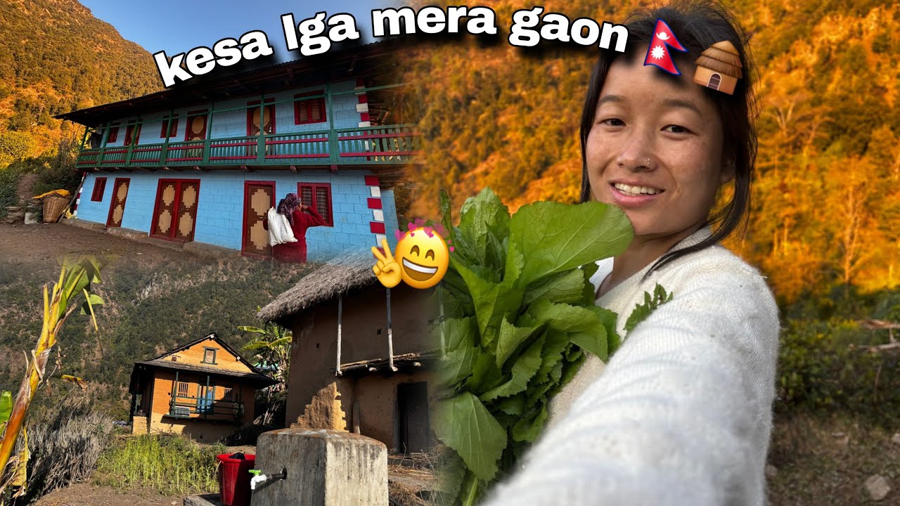 कैसा लगा मेरा गाँव जरूर बताइयेगा comments में 🥰🫰👇⛰️🇳🇵#youtube #youtubevideo #nepal 