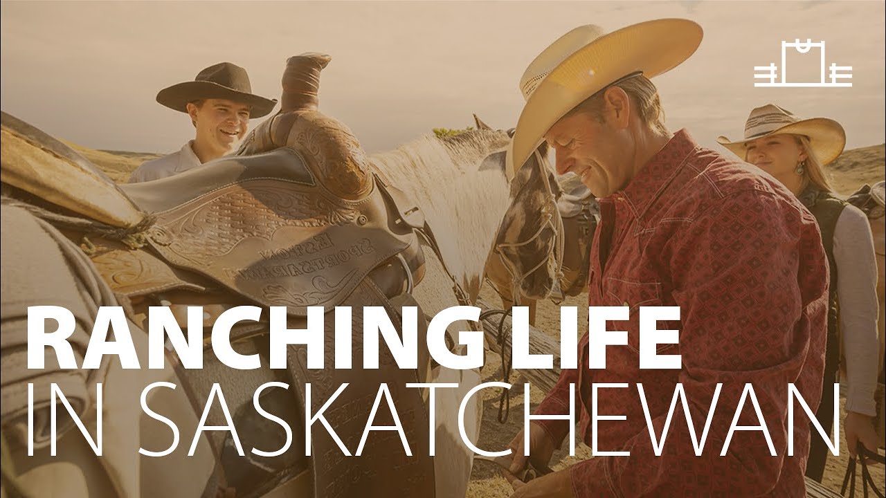 Valley of Horses | Find peace of mind on a Saskatchewan ranch