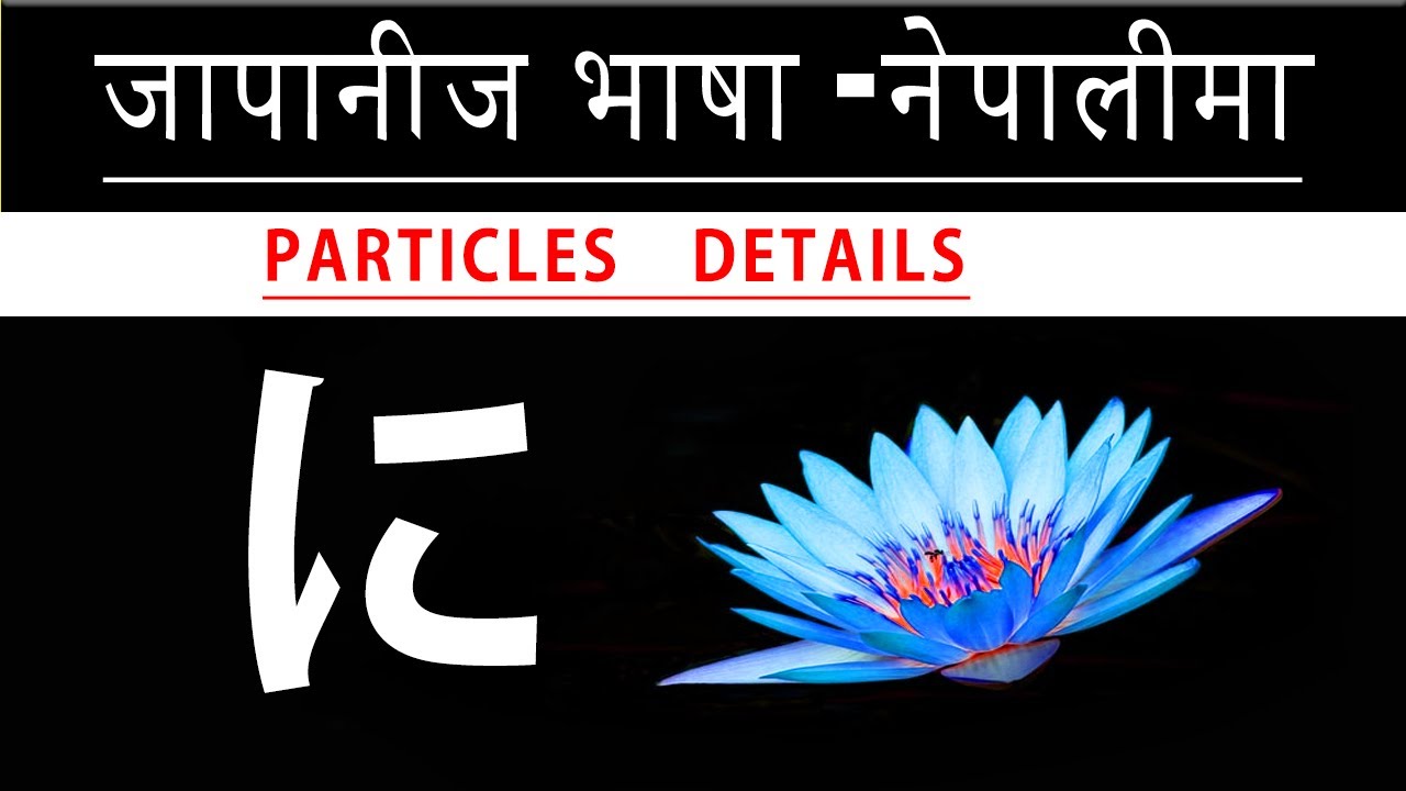 ni particles | ni particles learn in Nepali | how to use ni particles | に particles |basic japanese