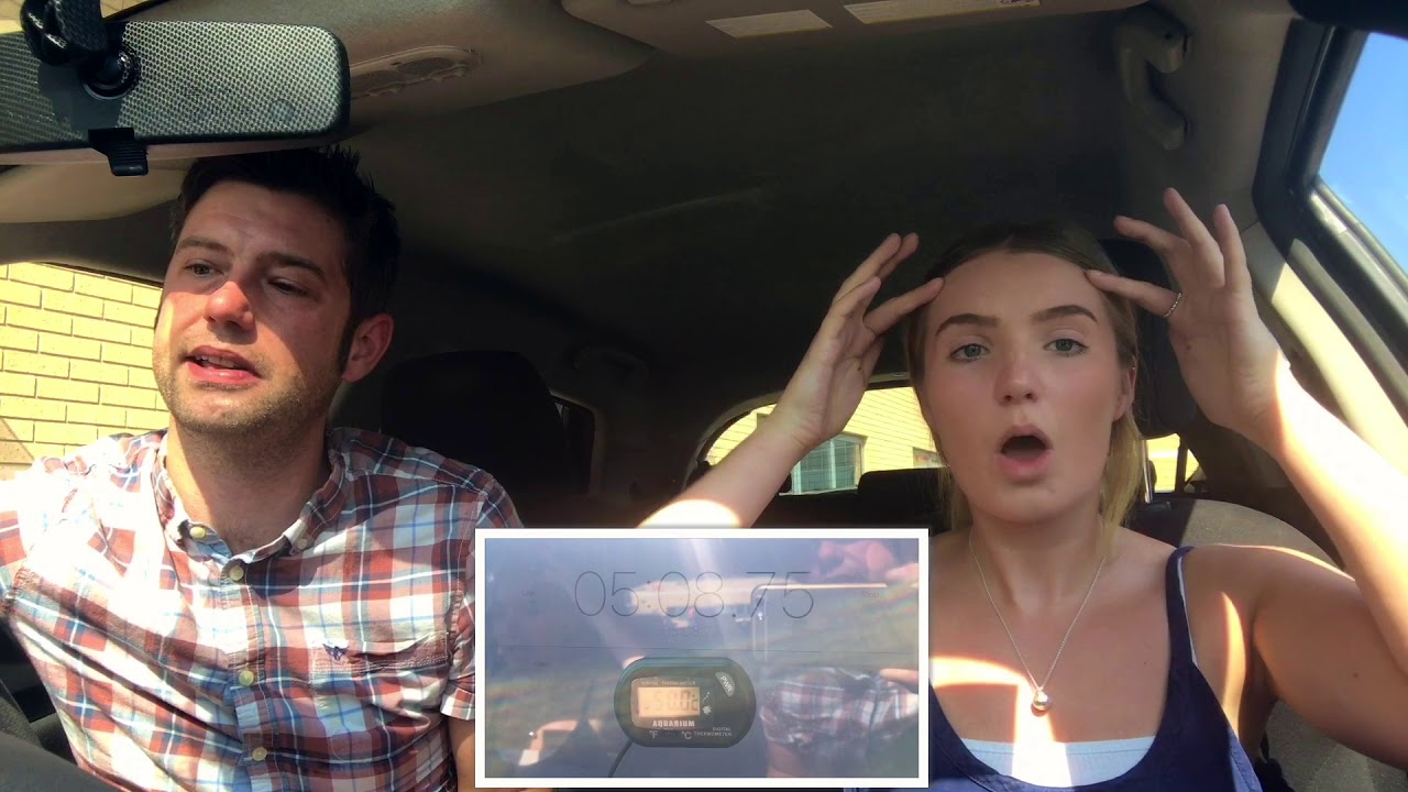 Dogs Die In Hot Cars - 2BR's experiment