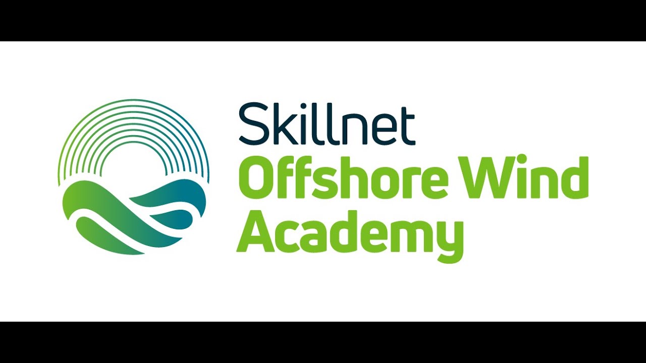 Environmental Impact Assessment of Marine Renewable Energy Developments
