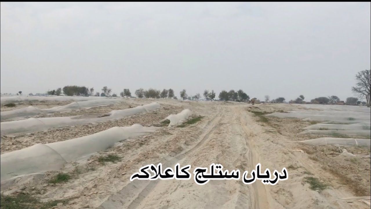 دریاں ستلج کا علاکہ اور تباہی