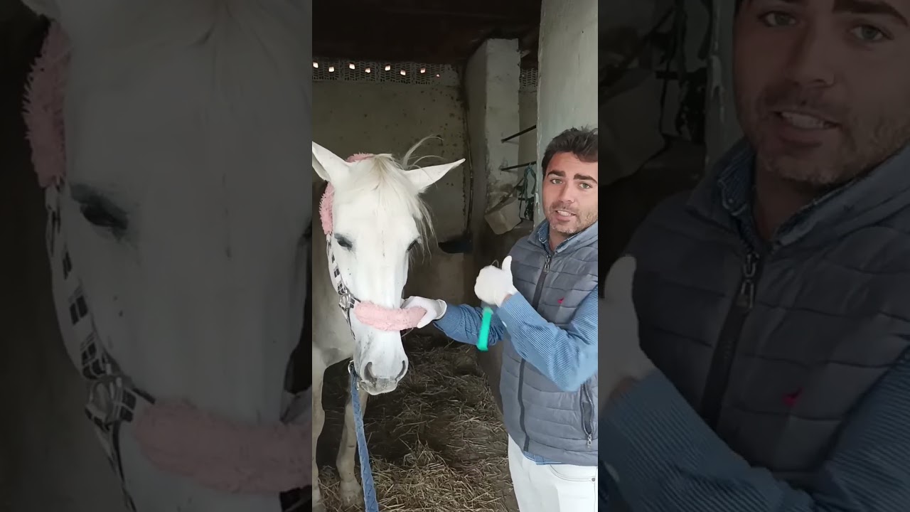 Caballo con problemas en los ojos 🐴 escuchen al veterinario 🧑‍⚕️