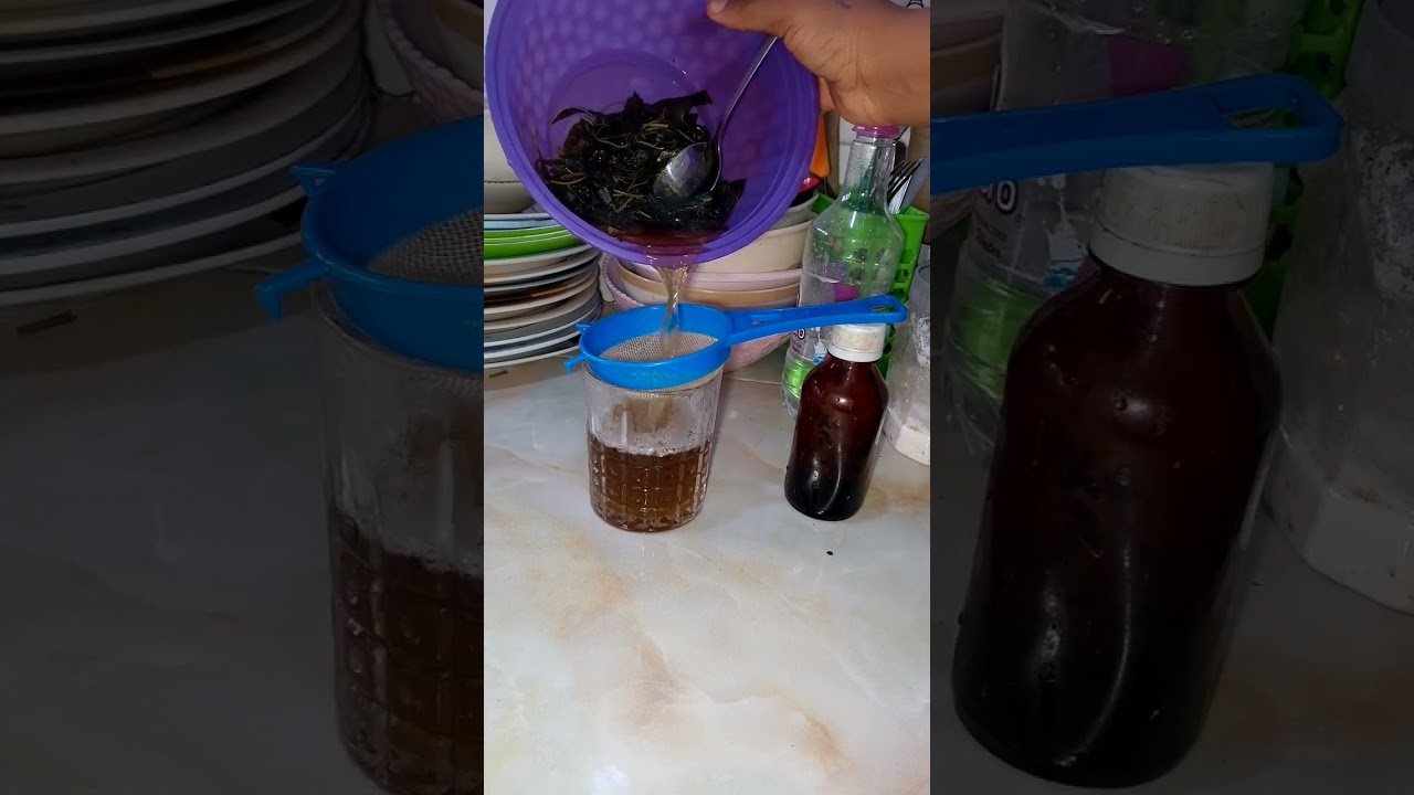 HOW TO MAKE BITTER LEAF TEA to clean lungs, kidney,  liver cure malaria #viralvideo #herbal #family
