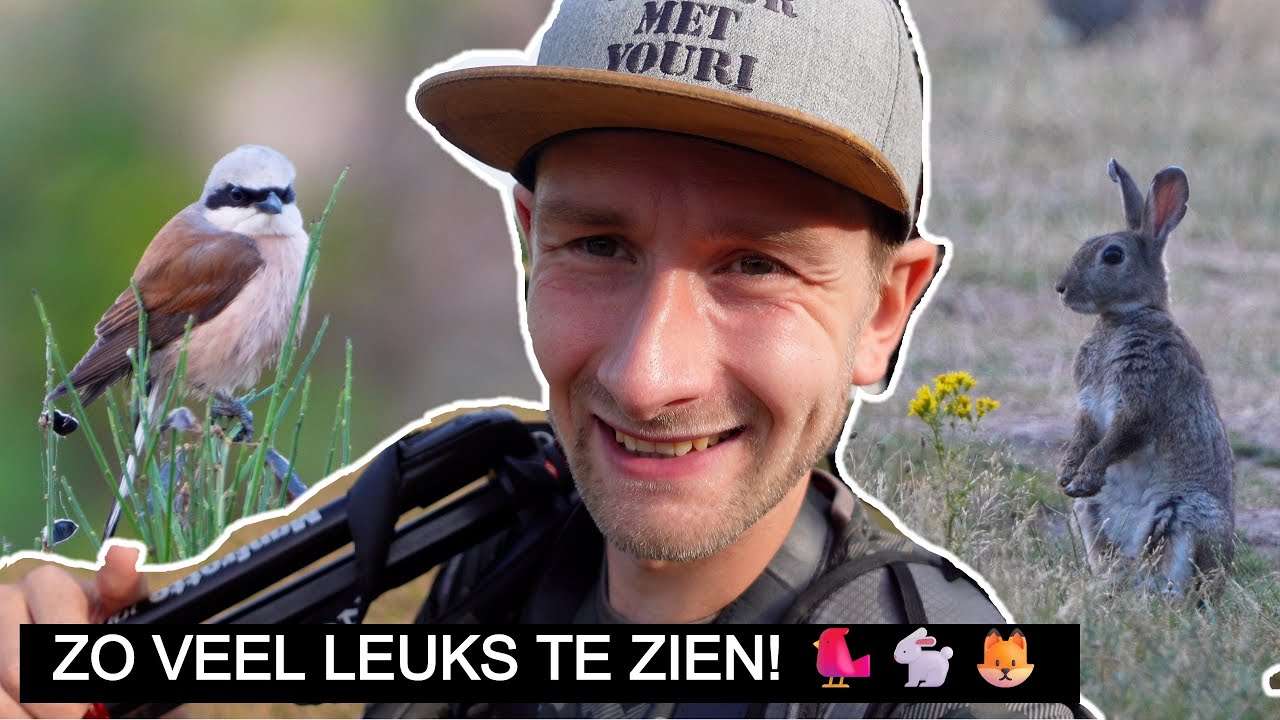 #368: Klauwieren & Konijnen | Sony A7 IV