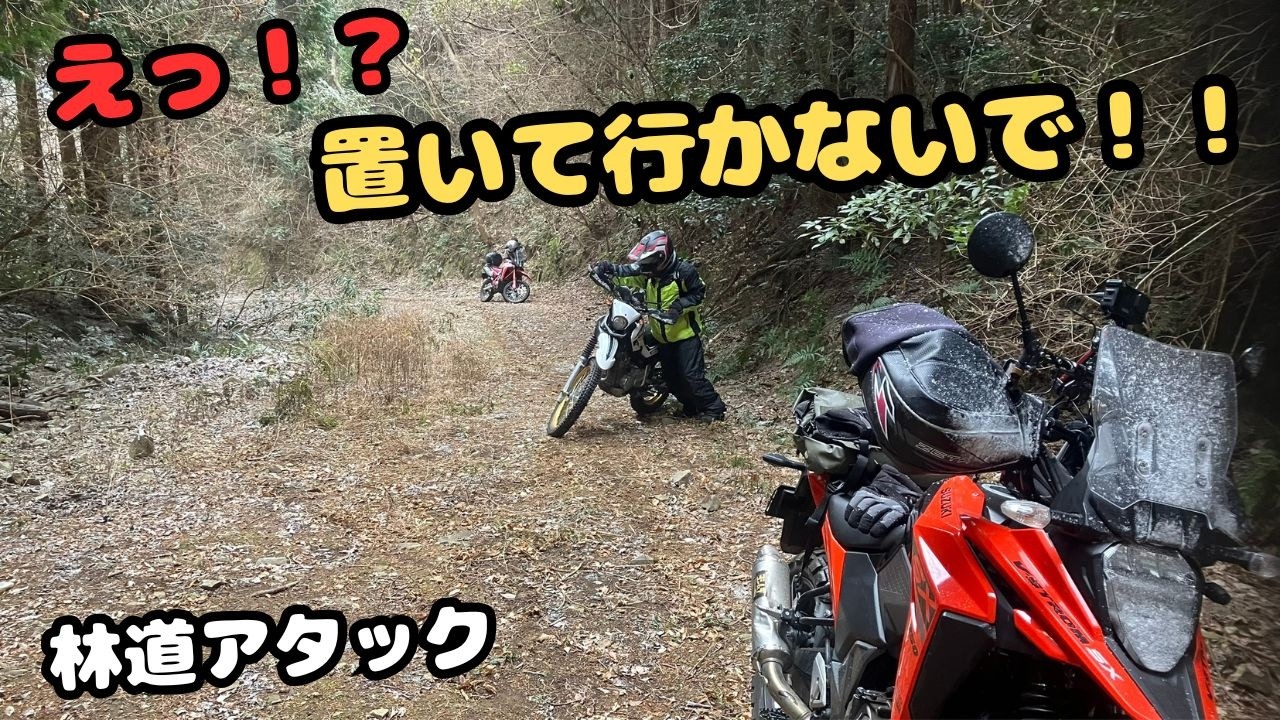 大寒波の林道ツーリング！Vスト250SX/CRF250ラリー/セロー250で走る岬町・本谷線の奥