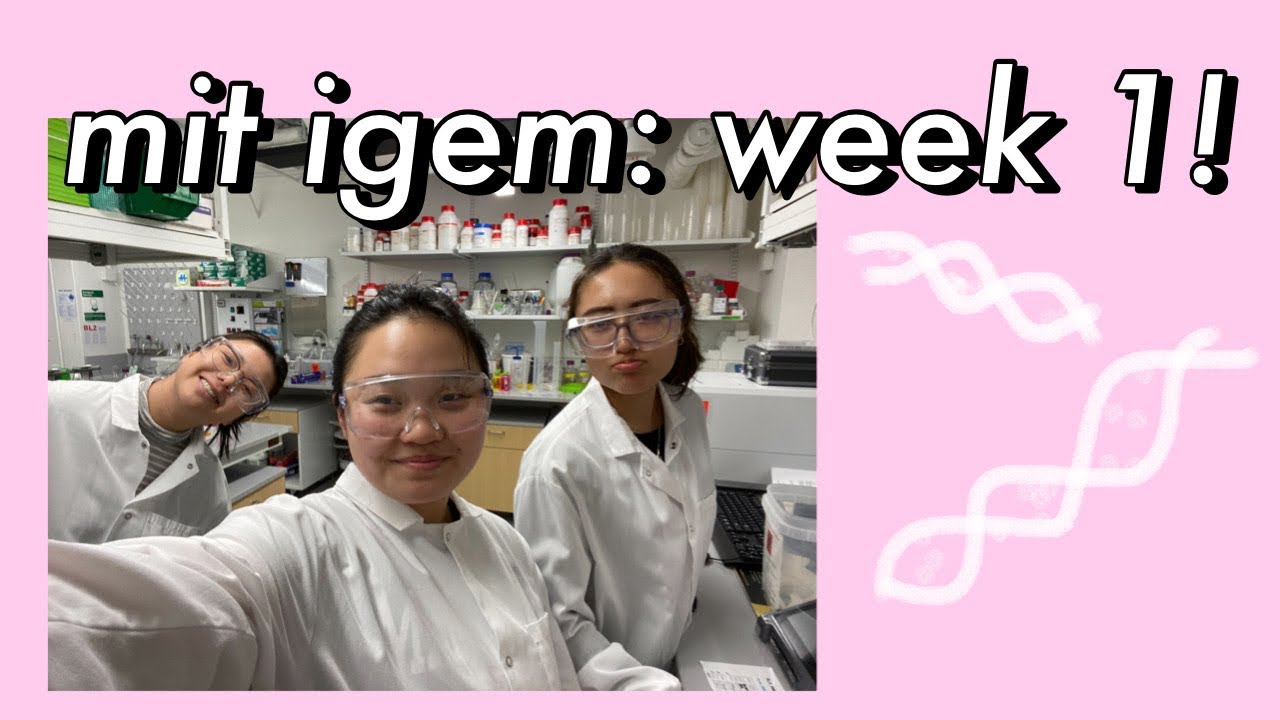 week one with MIT iGEM 🔥😊 | synthetic biology research project for cancer cachexia