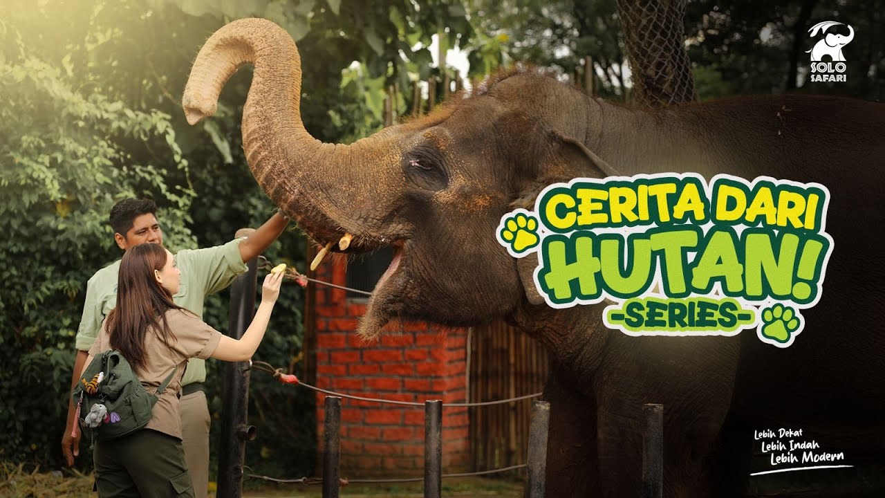 Solo Safari - Cerita Dari Hutan (Episode 01)