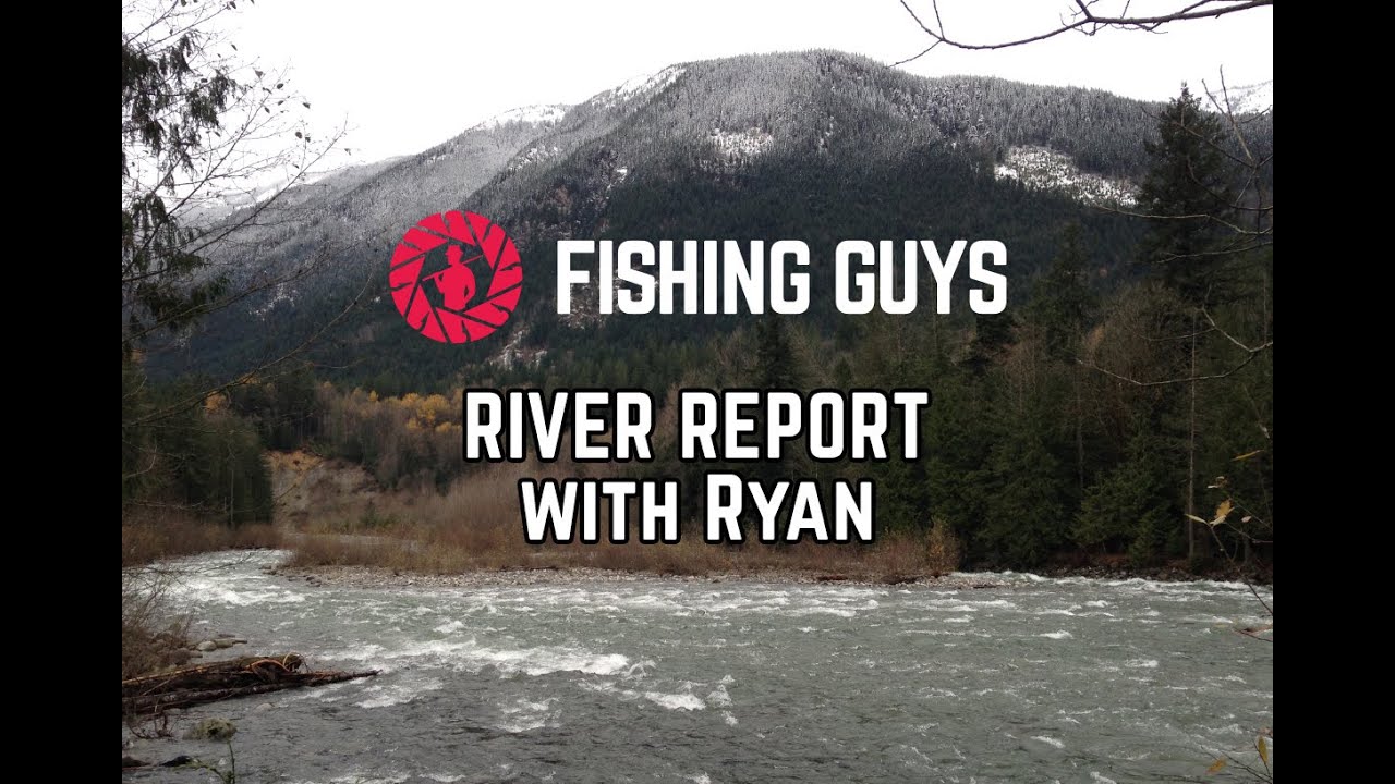 Fishing Guys: Chilliwack River Report Nov 16 2015