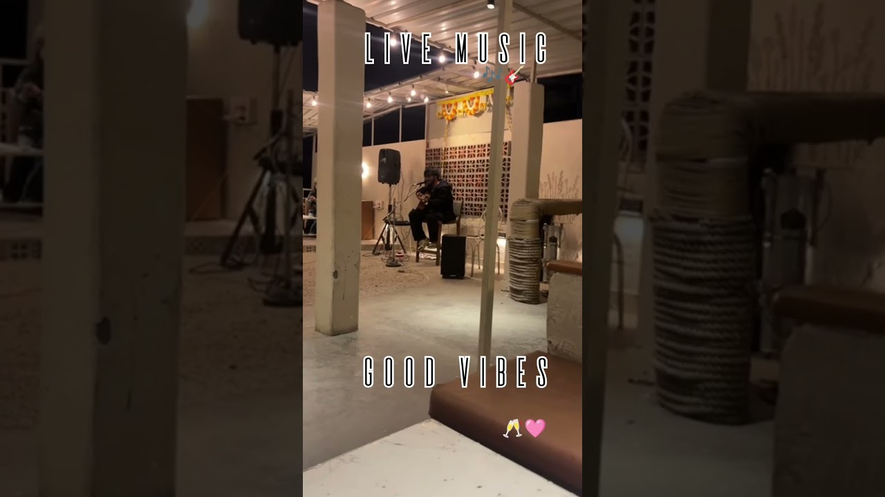 Live Music and Good Vibes 