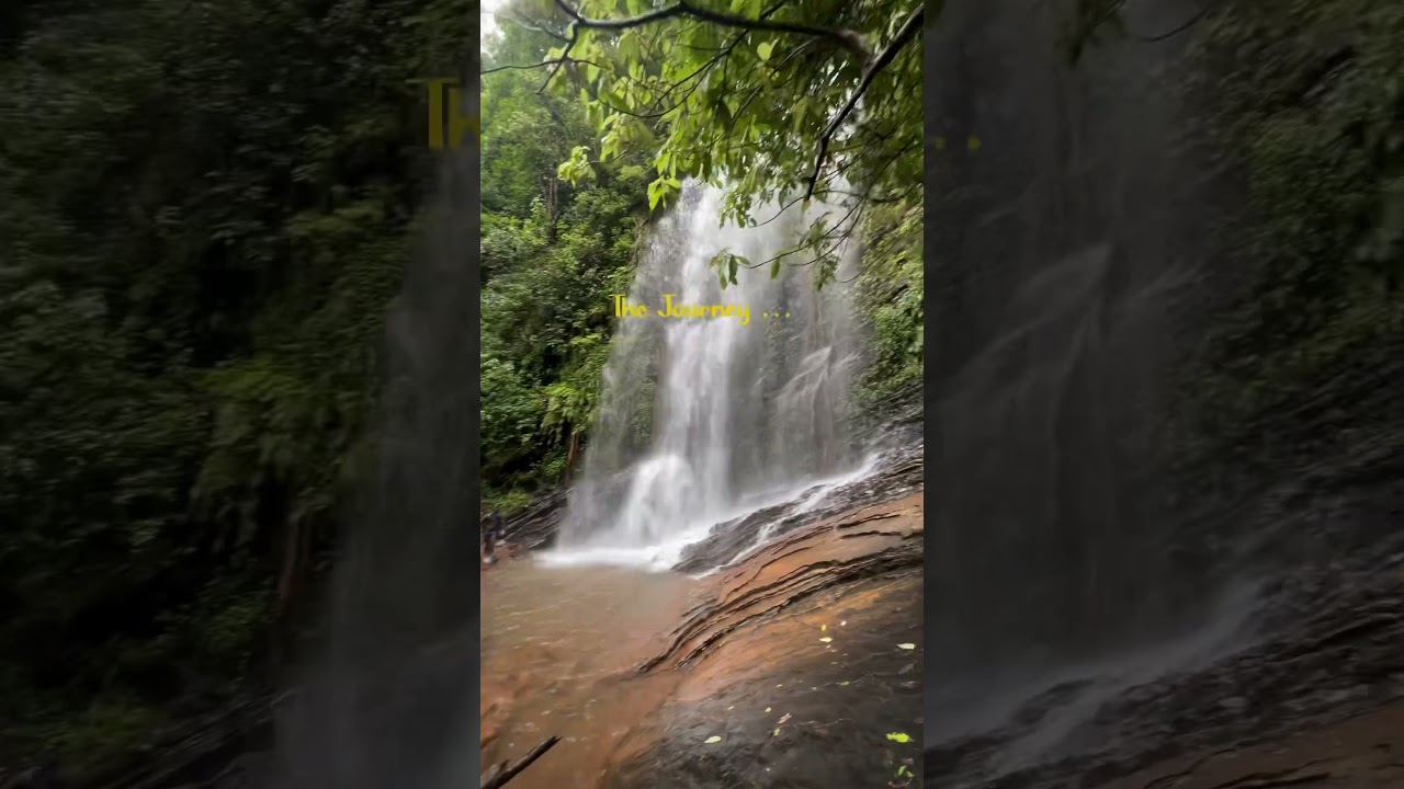 Kodachadri trek via Hidlumane Falls! Full vlog dropping soon!!!
