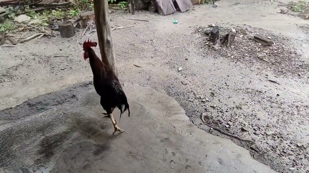 Um amanhecer cheio de esperança!