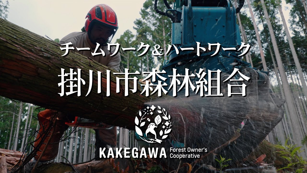 チームワーク＆ハートワーク 掛川市森林組合：静岡県掛川市 Kakegawa,Shizuoka
