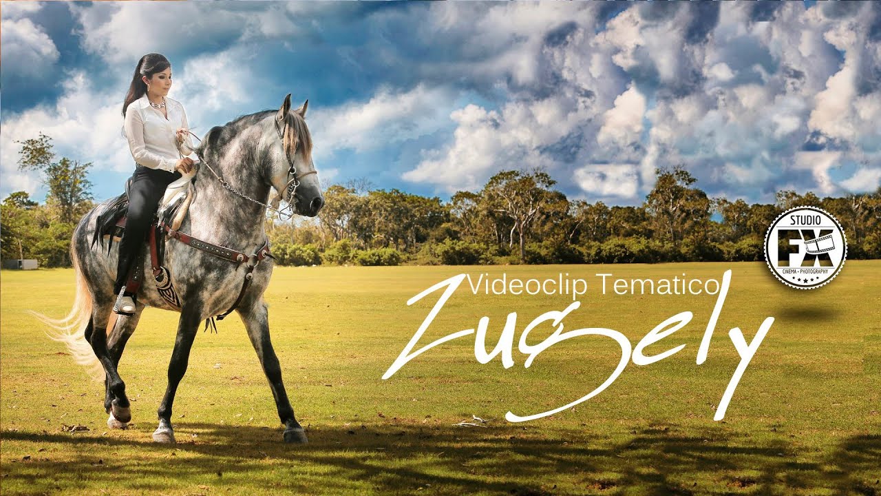 Videoclip Zugely - Tematico - StudioFX Yucatan 2014
