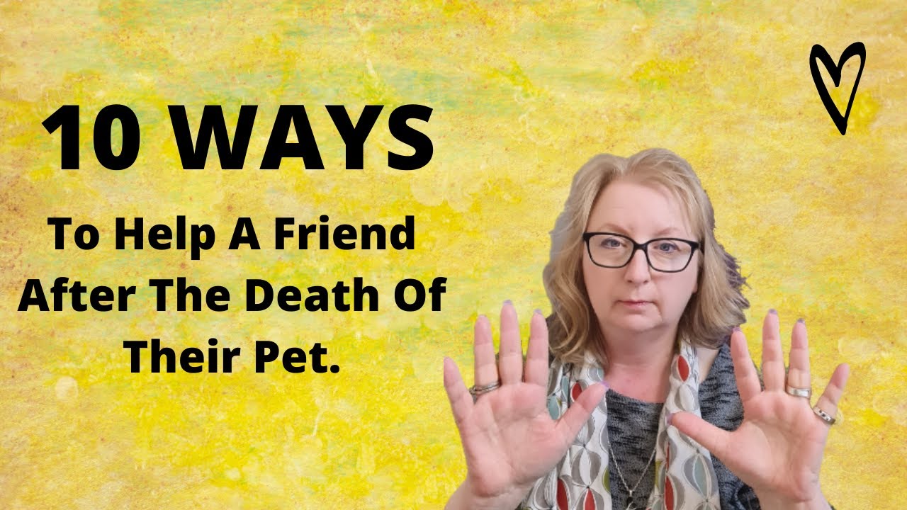 10 Ways To Help A Friend After The Death Of Their Pet