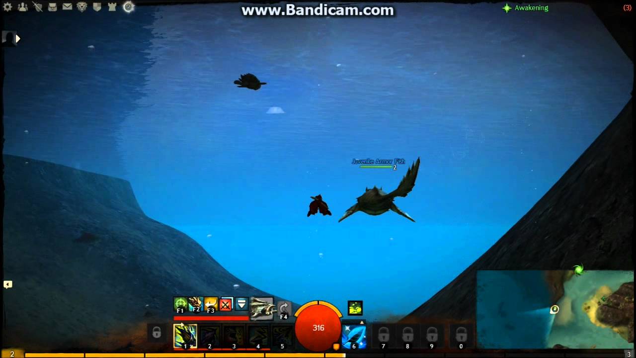 Guild Wars 2: Bloodtide Coast