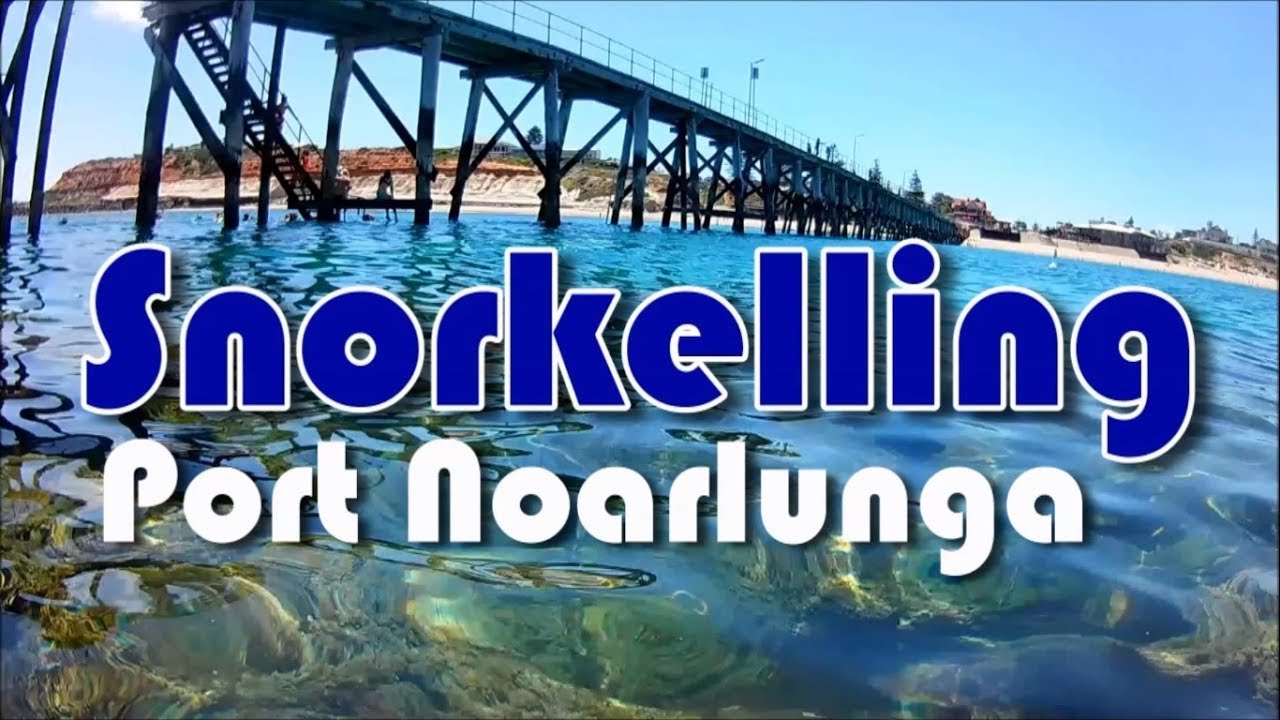 Snorkelling at Port Noarlunga South Australia