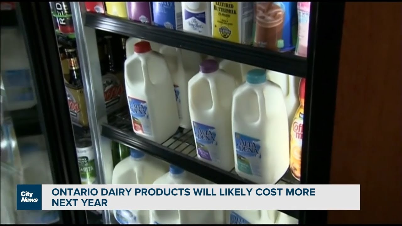 Price of Dairy products could increase next year