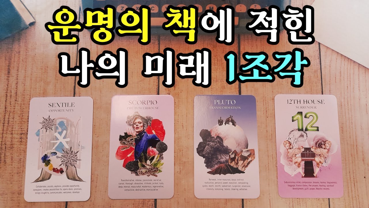 [타로카드] 운명의 책에 적힌 나의 미래 1조각🦄
