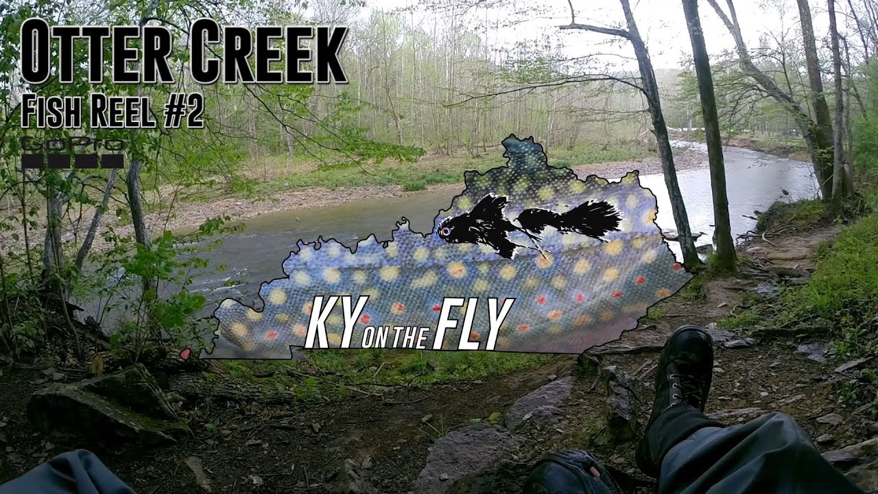 Fly Fishing Otter Creek #2